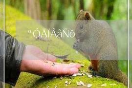 辽宁抚顺铁岭催收贷款：全方位解析与案例分析