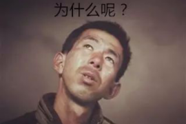 警察对付讨债人:法律与秩序的坚守 警察对付讨债人:法律与秩序的坚守