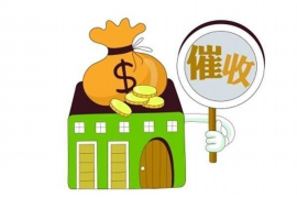 龙井要钱公司收费标准揭秘:全面解析服务与价格 龙井要钱公司收费标准揭秘:全面解析服务与价格