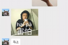 韩国电影《老崔帮人要账》:一场关于正义与生活的较量 韩国电影《老崔帮人要账》:一场关于正义与生活的较量