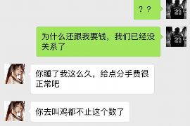 青秀清数公司：数据驱动的智慧解决方案引领者