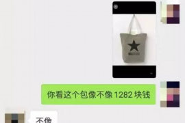 世界十大讨债员：揭秘高薪职业背后的讨债艺术