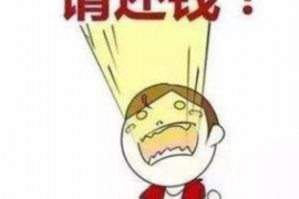 追讨债务电话沟通话术——高效解决债务纠纷的艺术